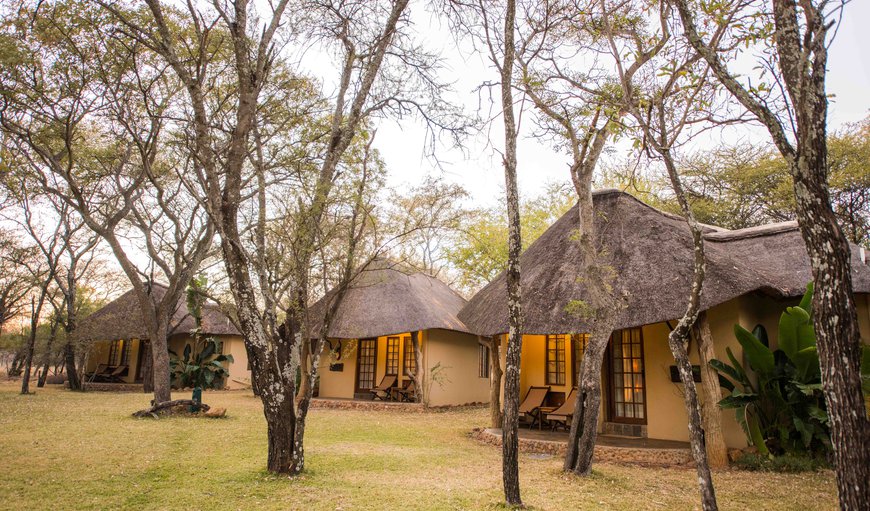 Rondavel: Mziki Safari Lodge
