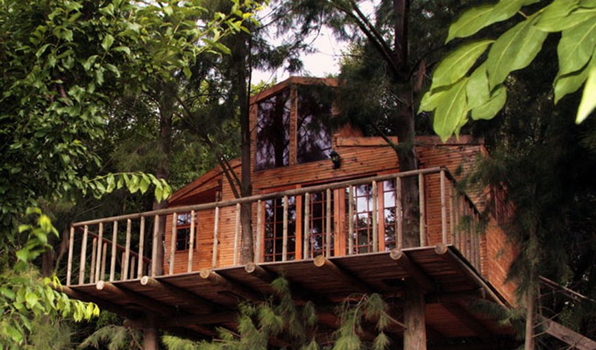 Tree House: TH 1 or TH 2 or TH3: Luxury Tree Houses