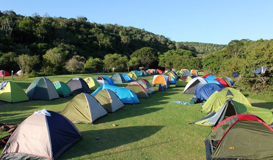 Camping Sites: Camping