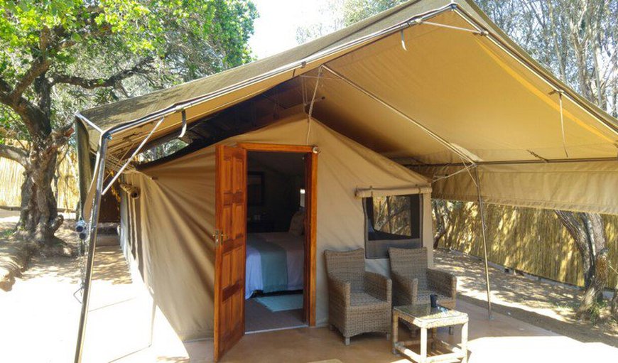 Tusker Suites: Tembe Tent (Tusker Suites)