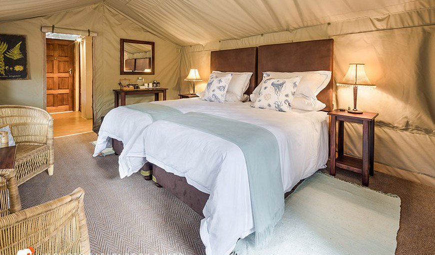 Tusker Suites: Luxury Tembe Tented Units (Tusker Suites)