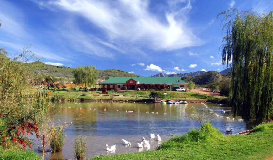 Wilgewandel Holiday Farm in Oudtshoorn, Western Cape, South Africa