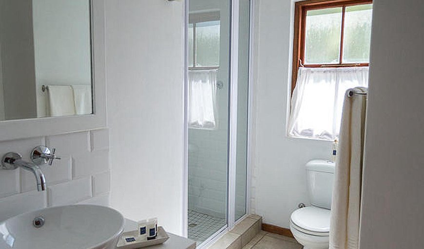 Superior King/Twin Room with Shower: Superior King/Twin Room - Bathroom with shower