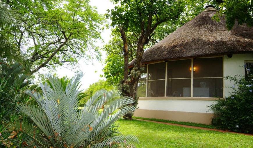 Welcome to Kiaat Bungalows in Hazyview, Mpumalanga, South Africa