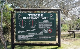 Tembe Elephant Park image