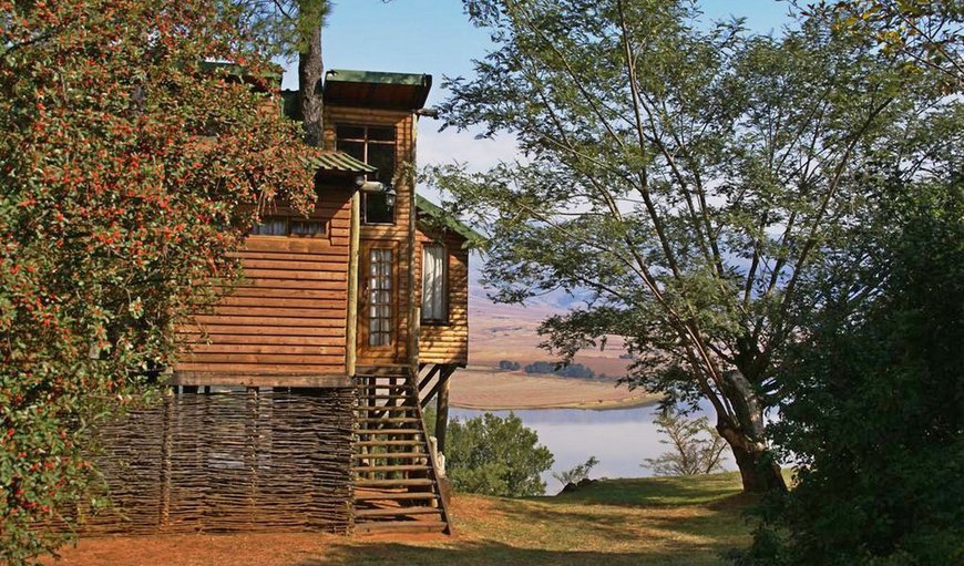 Welcome to Treks, Trips and Trails (photo Bahati Tree Cabin) in Champagne Valley , KwaZulu-Natal, South Africa