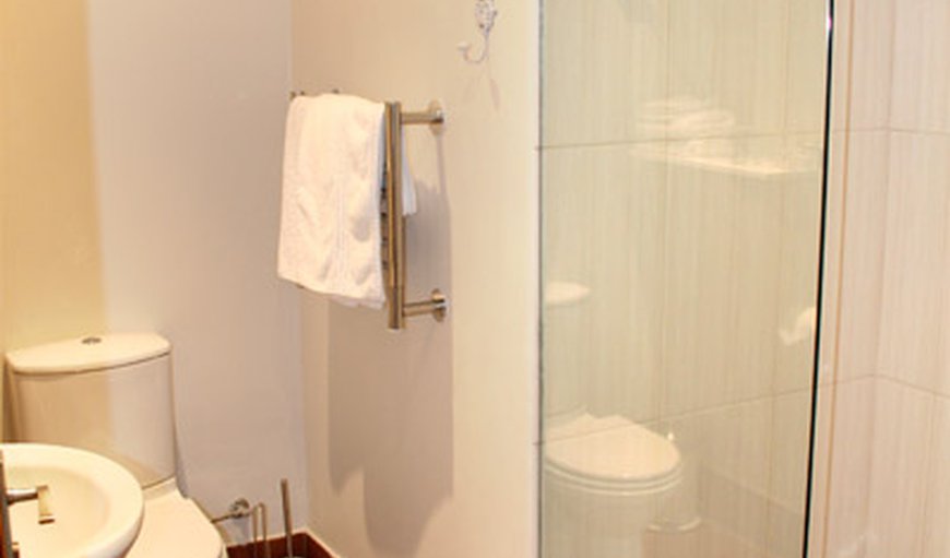 Double Room: Bathroom with shower