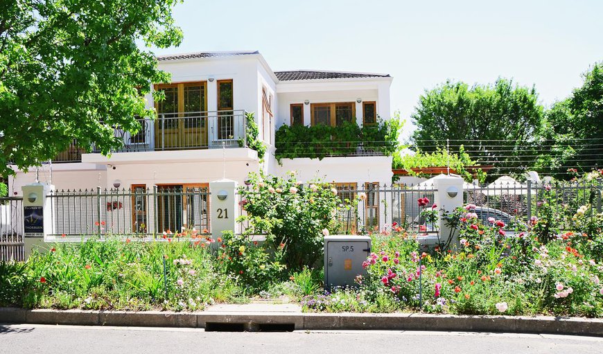 Welcome to Penelope's Guest House in Stellenbosch, Western Cape, South Africa