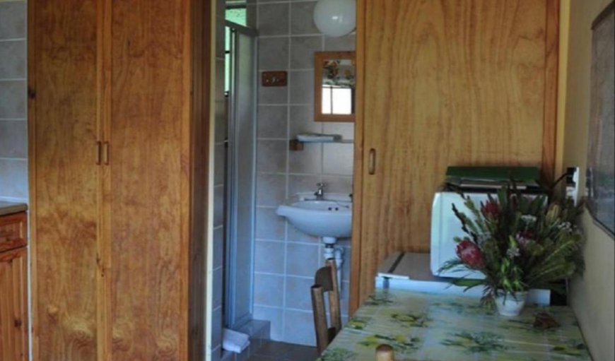 One Bedroom Unit: One Bedroom Apartment - Bathroom