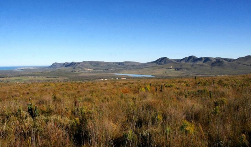 Farm 215 Nature Retreat & Fynbos Reserve in Gansbaai, Western Cape, South Africa