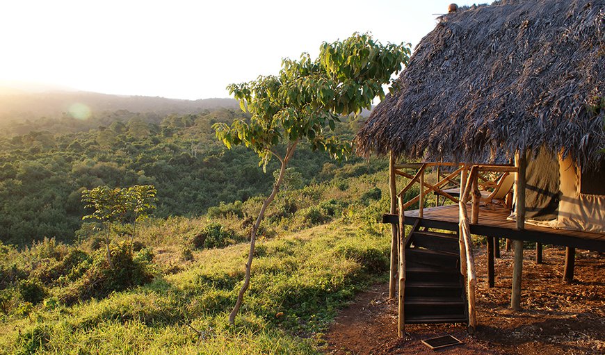 Welcome to Crater Forest Tented Camp in Ngorongoro Conservation Area, Tanzania, Tanzania, Tanzania