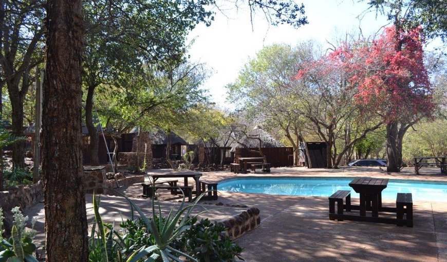 Cabin Bedrooms around the pool area in Thabazimbi, Limpopo, South Africa