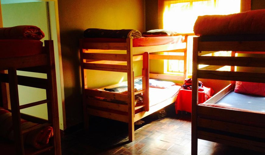 Ten Sleeper Dormitory (Big Dorm): Ten Sleeper Dormitory - These dormitories sleep up to 10 guests sharing and have a shared bathroom.