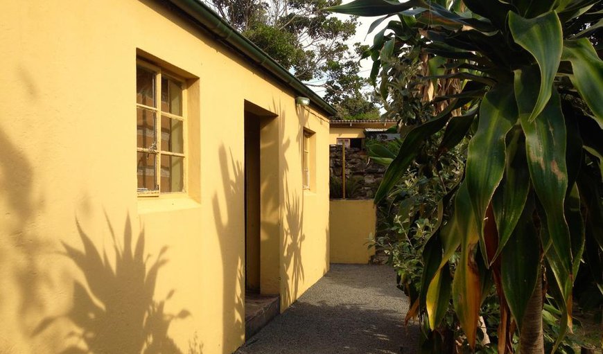 Four Sleeper Dormitory (Gecko): Four Sleeper Dormitory - These dormitories sleep up to 4 guests sharing and have a shared bathroom.