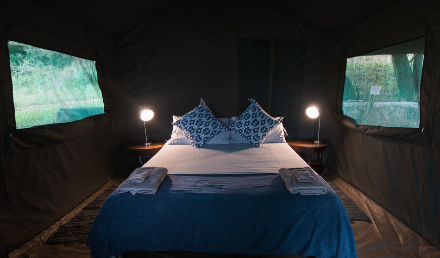 Safari Tent in Balule Nature Reserve, Limpopo, South Africa
