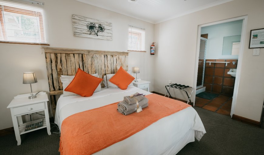 Double Room - Sunbird: Double Room Sunbird - This room is furnished with a king size bed and has an en-suite bathroom.