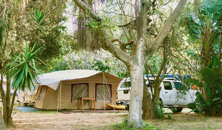 Camp Site (Own Tent/ Caravan) photo 3
