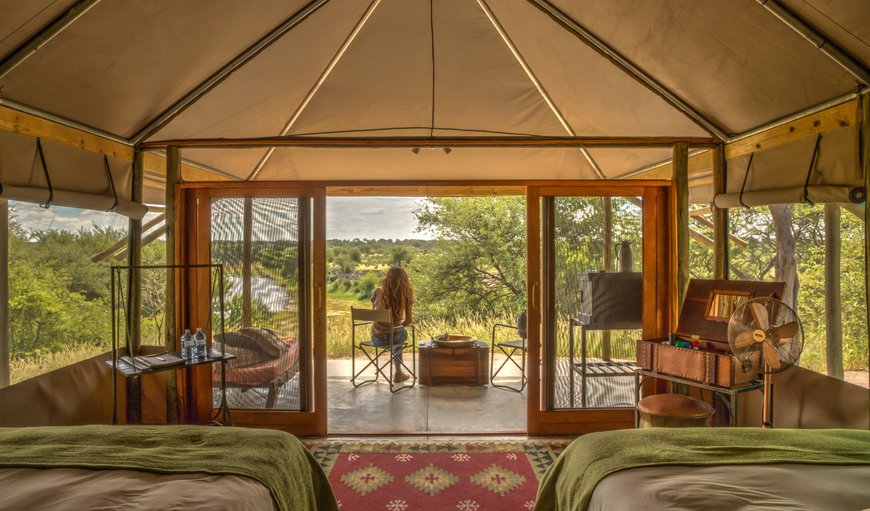 Meno a Kwena Tents (Twin): Freshly renovated tented accommodation with en-suite bathroom as well as outdoor shower and loo. Each tents boasts a private verandah with beautiful views over the Boteti River and Makgadikgadi Pan National Park. 