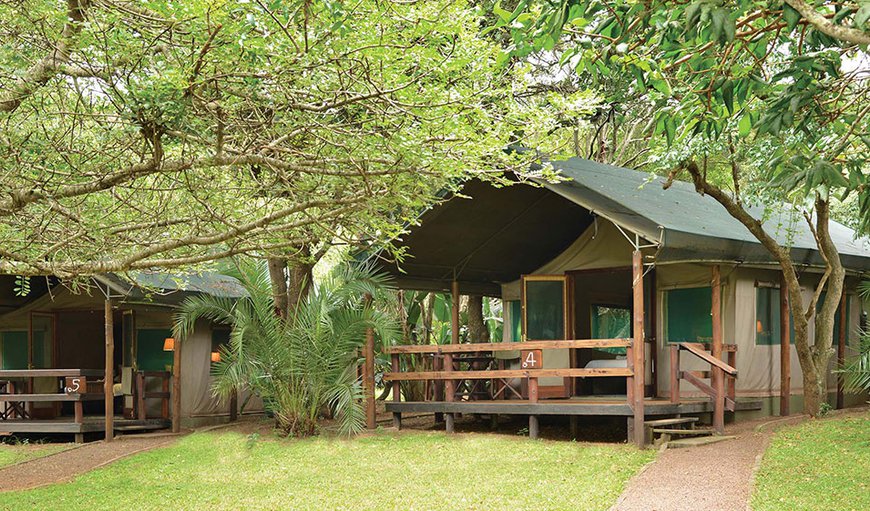 Luxury Tented Chalet Twin: Luxury tented accommodation provides true safari ambiance.