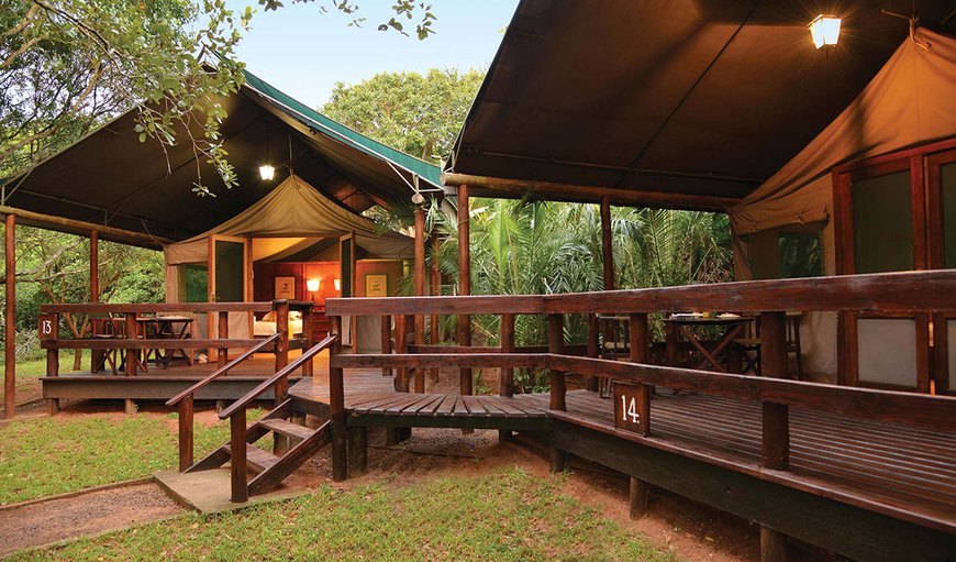 Luxury tented  Accommodation Twin: Enjoy an authentic bush experience in a peaceful, natural haven.
