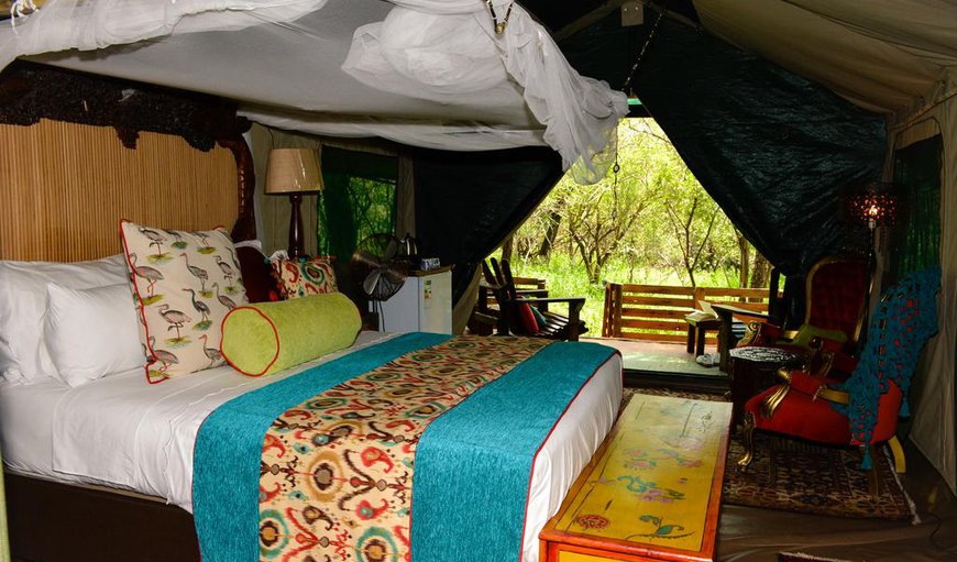 Giraffe - Tent: Tent 2 - Bed