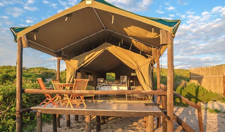 Welcome to West Coast Luxury Tents in Elands Bay, Western Cape, South Africa