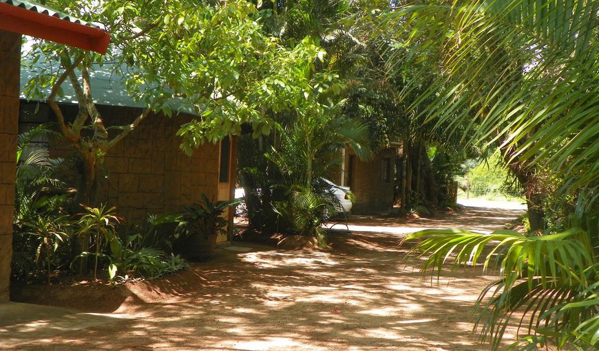 Welcome to Lake St Lucia Lodge in St Lucia, KwaZulu-Natal, South Africa