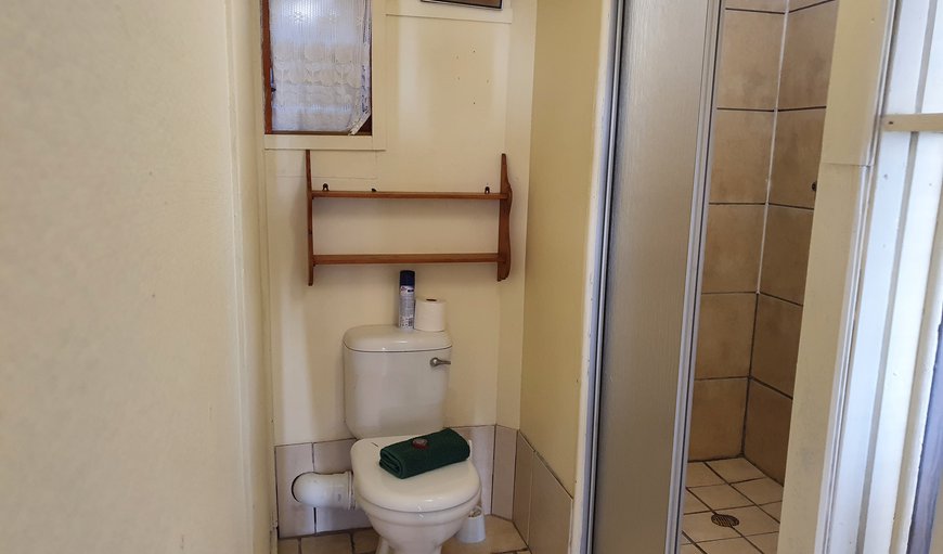 Budget single room: Bathroom