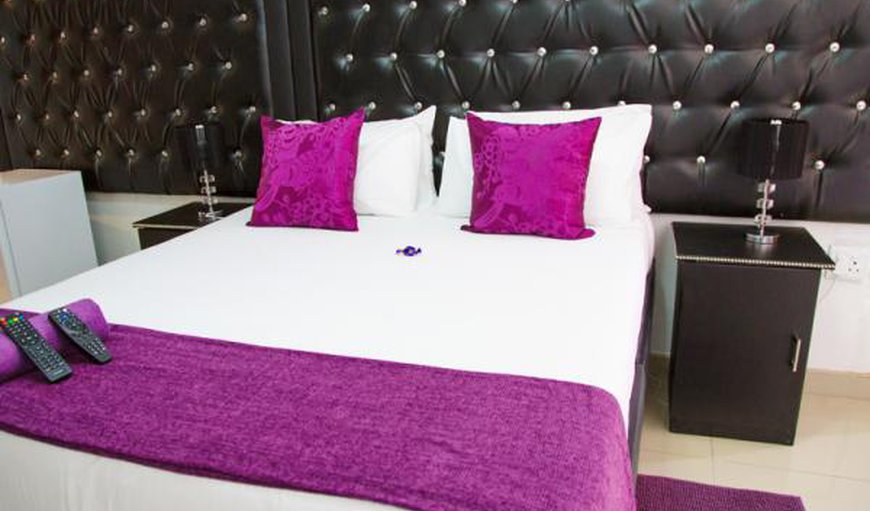 Purple Rooms