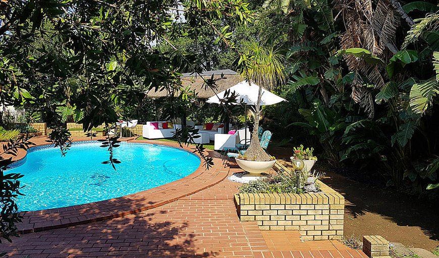 Welcome to Sollunaa Guesthouse in Sandton, Johannesburg (Joburg), Gauteng, South Africa