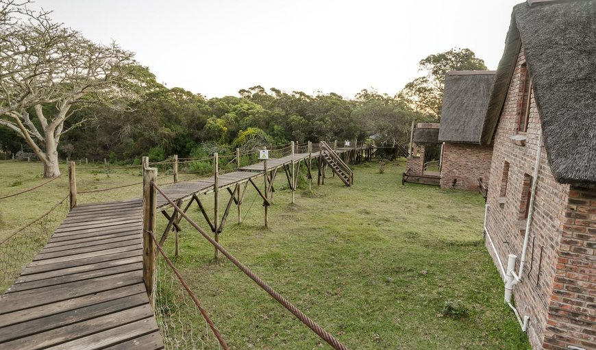 Kragga Kamma Game Park in Port Elizabeth (Gqeberha), Eastern Cape, South Africa