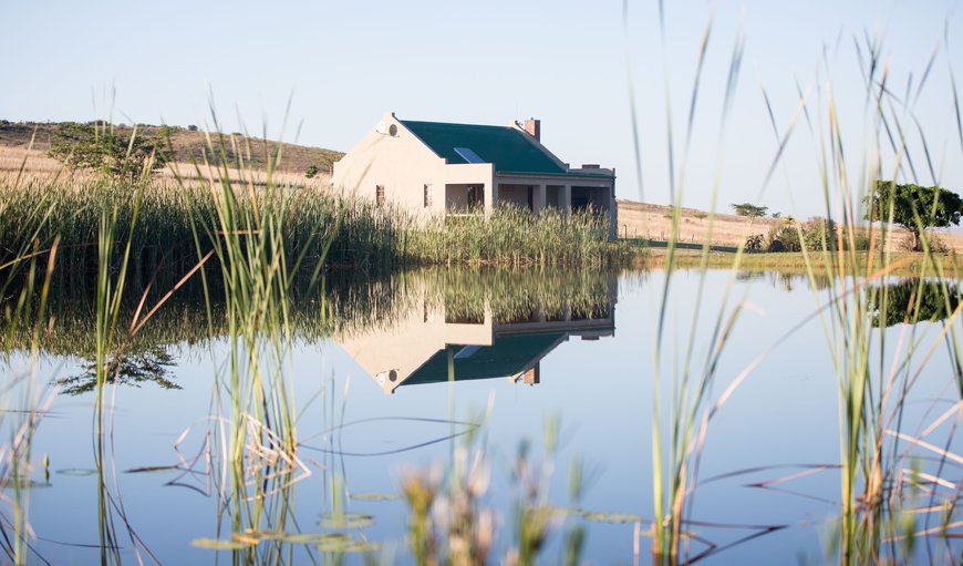 Self-Catering Cottage: Springbok cottage
