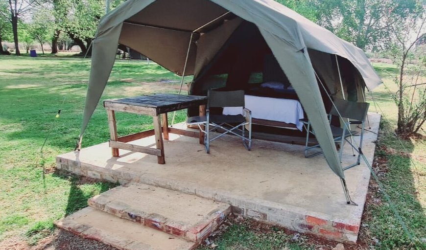Lodge Tent 35 (Q) photo 10