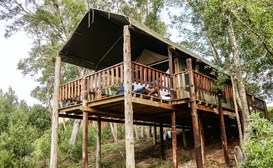 Fernhill Tented Treehouses image