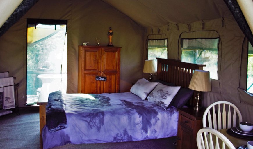 Elephant Root Luxury Tent: Bed