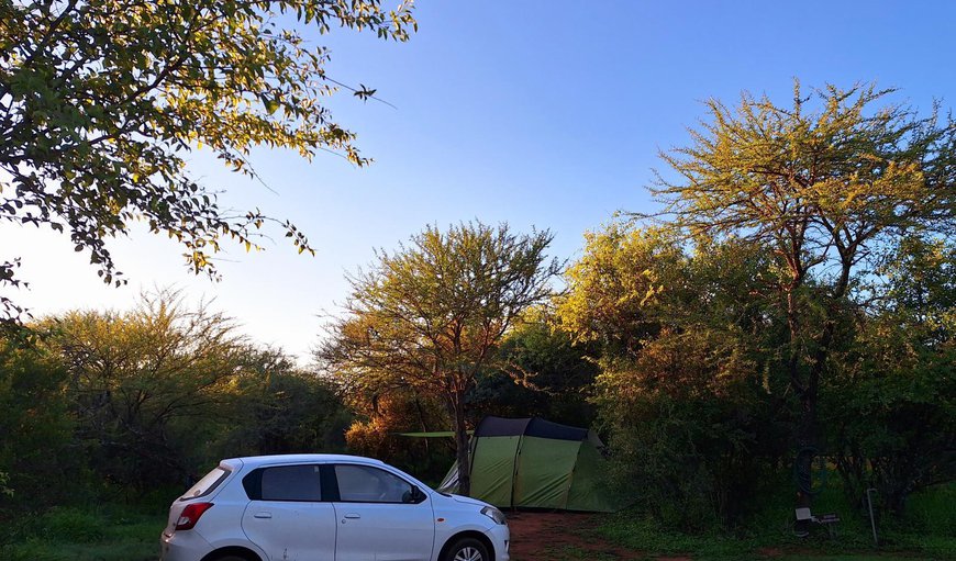 Kudu Bush Campsite: View (from property/room)