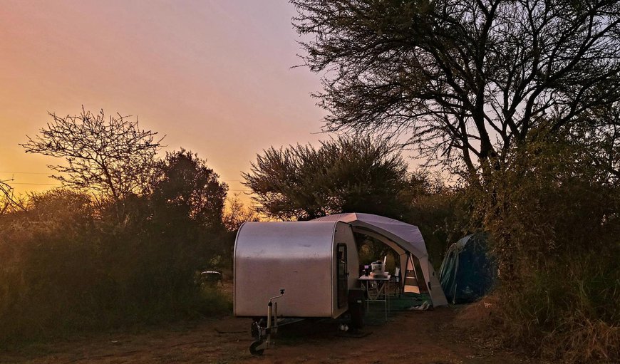 Red Hartebees Bush Campsite: Bed