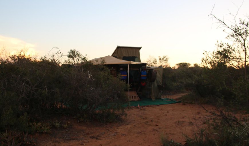 Off-Grid Campsite Serval: Bed