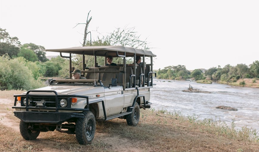 Game Drive - Activity in Alldays, Limpopo, South Africa