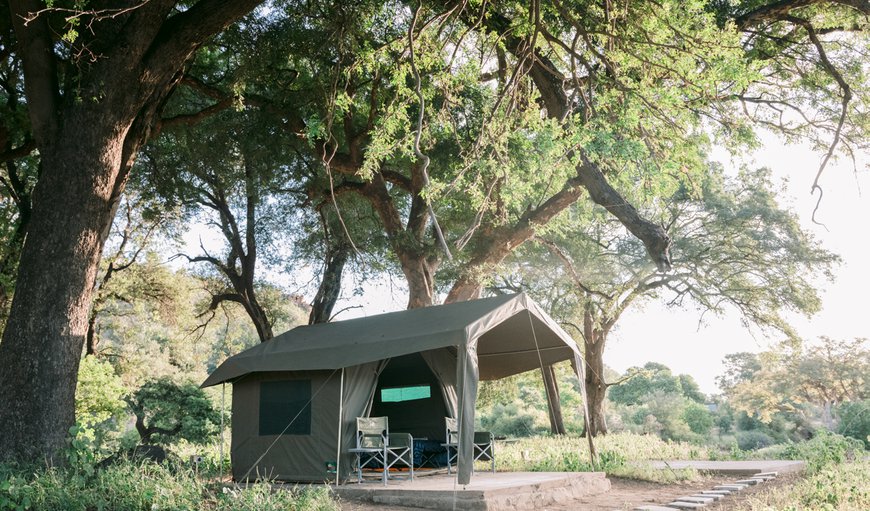 Island Camp: Tent Exterior