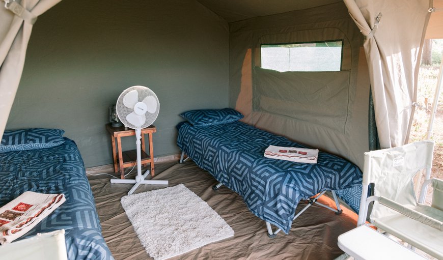 Island Camp: Tent Interior