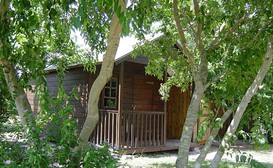 Toad Tree Cabins - Sodwana Bay image