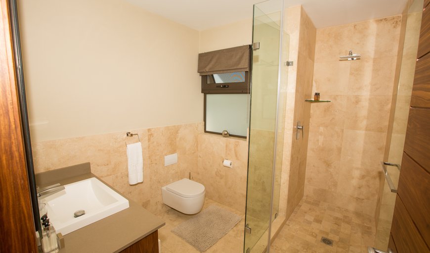 Standard Queen Room: Queen room Bathroom - Shower only