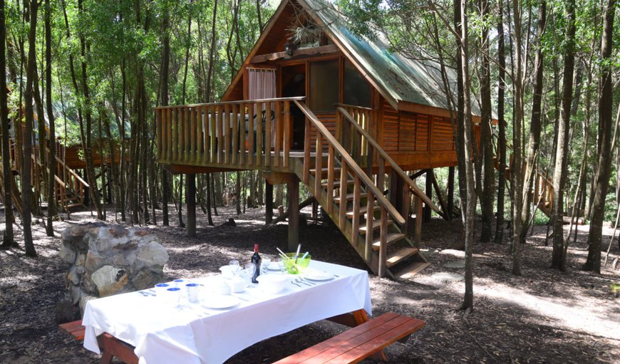 Plett Forest Cabins