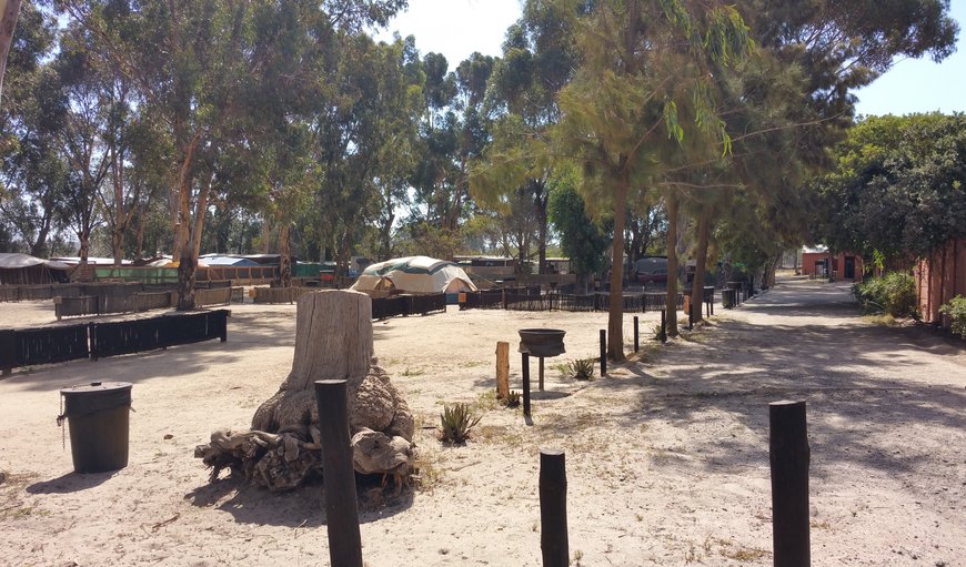 Caravan and Camp sites: Caravan / Tent Stands
