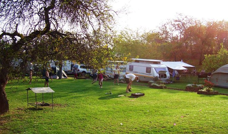 Caravan Sites: Lush green grass caravan park, all with electricity.
