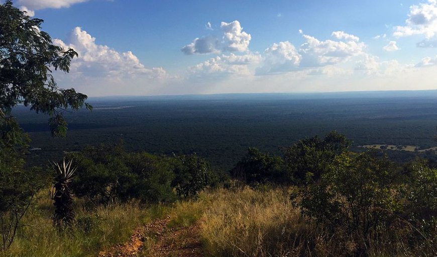 This small mountain resort is situated in the foothills of the Waterberg in a kloof with mountain walks in a tranquil environment with more than 170 species of birds recorded.