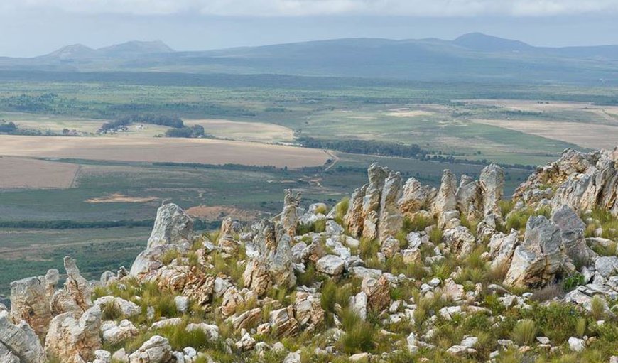 View across Overberg in Stanford, Western Cape, South Africa