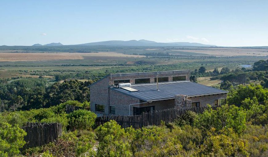 Protea Cottage: Protea Cottage amongst the fynbos
