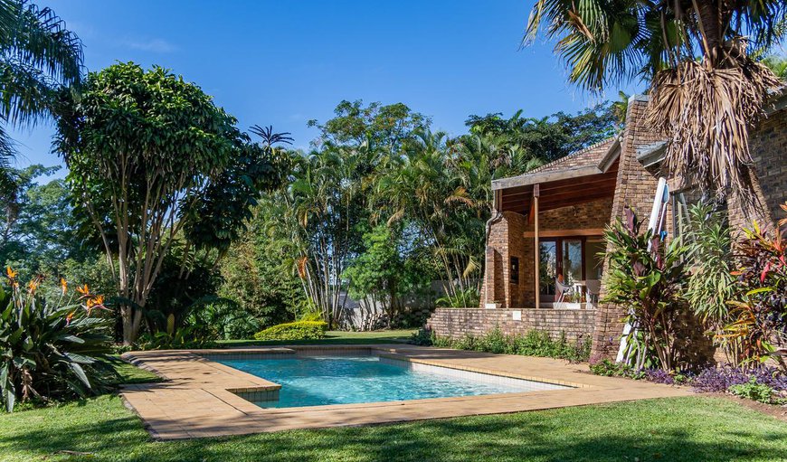 Welcoming garden with a sparkling swimming pool in Westville, Durban, KwaZulu-Natal, South Africa